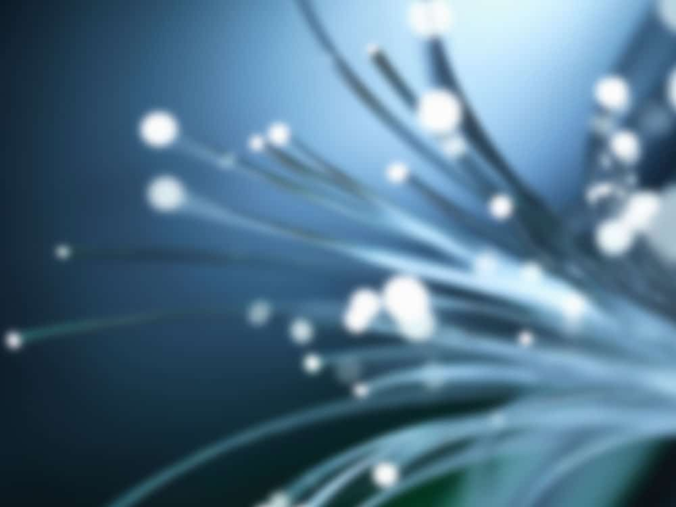 LWL Glasfaser bei ERZ ELEKTRIK REINHARDT in Kurort Seiffen/Erzgeb.