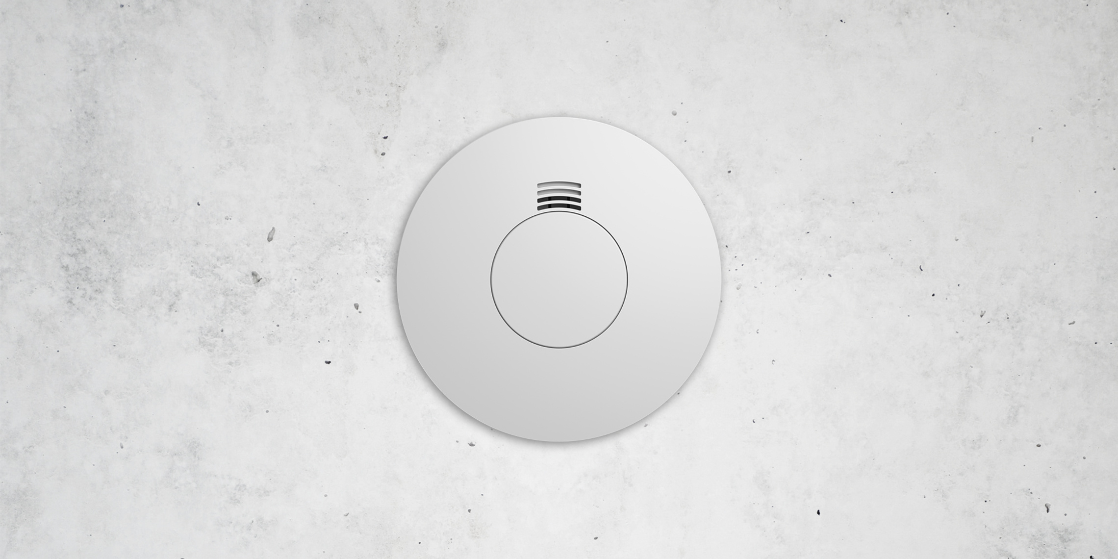 Busch-Rauchalarm® bei ERZ ELEKTRIK REINHARDT in Kurort Seiffen/Erzgeb.