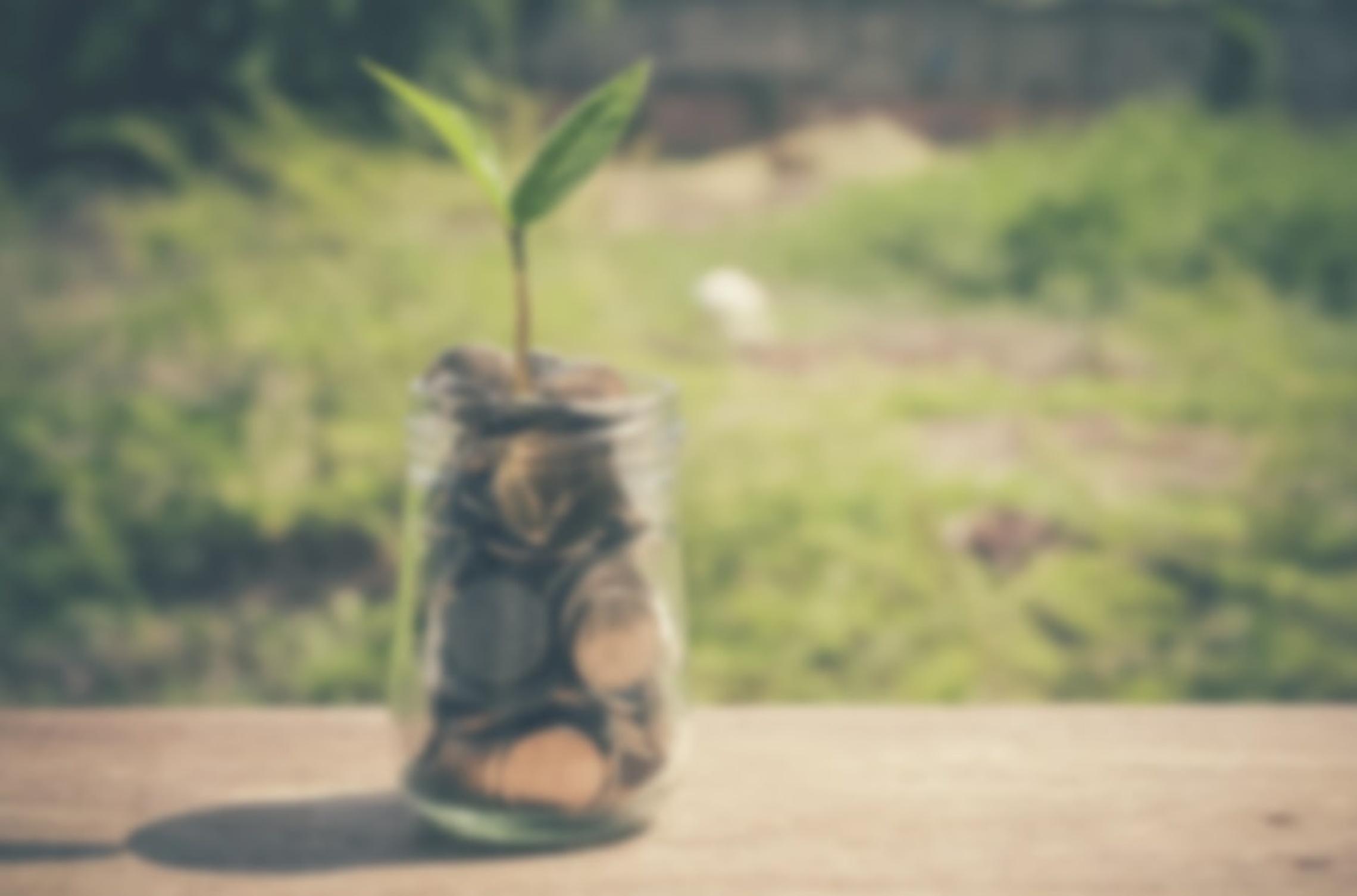 Fördermittel-Suche bei ERZ ELEKTRIK REINHARDT in Kurort Seiffen/Erzgeb.